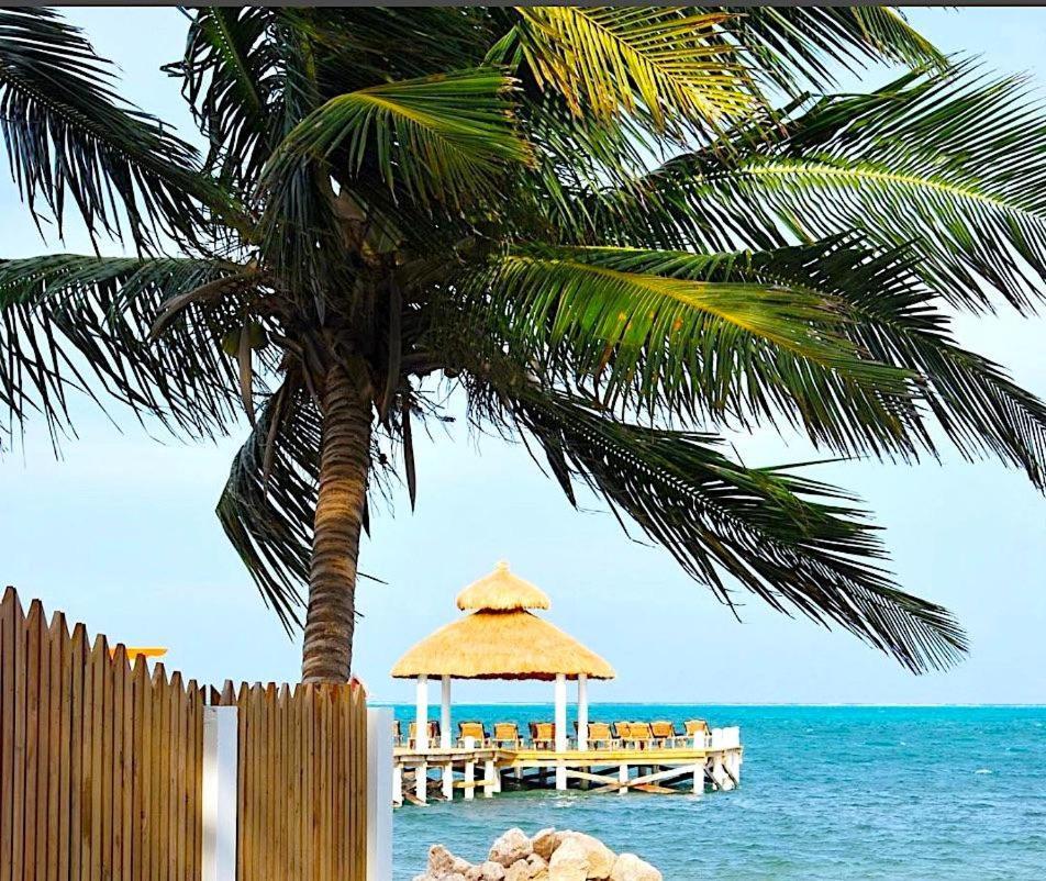Velento Oceanfront #2 Villa Caye Caulker Ngoại thất bức ảnh